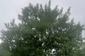 歌声唯美动听《乡里乡亲》同住一个村，团结力量，互相帮助！