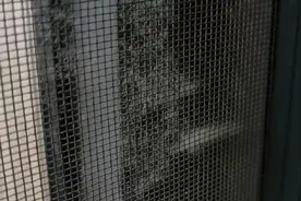 这个季节窗纱上的杨絮很讨厌，分享下轻松清理方法