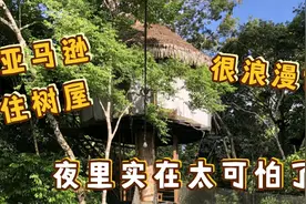 在亚马逊雨林旅行住树屋，北京小夫妻的一夜惊魂，真的太可怕了视频封面