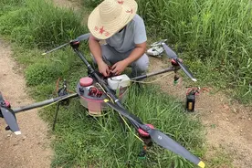 小伙花6万元买无人机，喷打农药110元一亩，看看多久能回本！视频封面