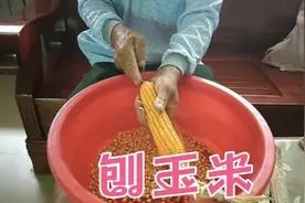 农村爸爸刨玉米有妙招，玉米粒轻松刨下来，简单快速又省事