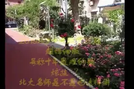 2019北京中考数学25题（超详细版）号称十年最难的题　炫技？视频封面