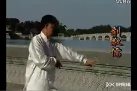 程式八卦掌全教程