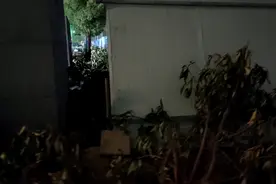 路面上突然惊现两个大坑，接二连三有人被“咬”，咋回事呢？