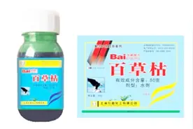 发明百草枯时什么不一起把解药研制出来？不是不想，是无能为力视频封面