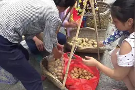 农村赶集卖土豆，全程说湖南土话，大家能听懂多少
