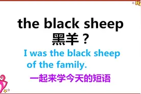 the black sheep啥意思？黑羊？今天的学习告诉你这个短语含义！视频封面