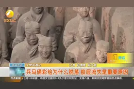 文物奇遇记：兵马俑彩绘为什么脱落？胶层流失是重要原因