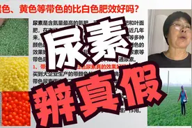 重磅！尿素黑色、黄色比白色好吗？真假辨别方法！农艺师讲农业