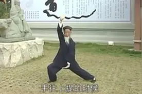 张至顺亲演金刚功第三招：调理脾肤需单举视频封面