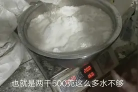 十斤面的发面，酵母三十克，泡打粉三十克，盐三十克，水2500克视频封面