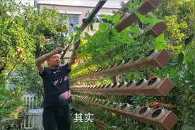 骗局？听不倒翁说，鱼菜共生视频封面