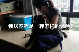 33岁大龄女青年独居养狗遭碎嘴？视频封面