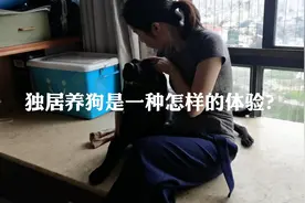33岁大龄女青年独居养狗遭碎嘴？视频封面