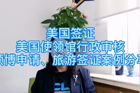 美国签证申请：美国使领馆行政审核，博士申请、旅游签证案例分享视频封面