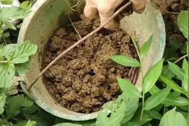 钓了一天的鱼，蚯蚓比鱼还大，终于领教了视频封面