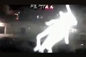 半夜两点监控中出现白鹿影像 3秒后消失不见 专家解开谜团
