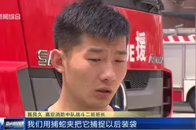 夏季蛇类活动频繁，浙江嘉定一民宅惊现巨型蛇，消防及时抓捕视频封面