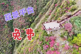 这景区不但免费，还可以自驾进去，而且景色独特