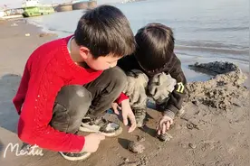 兄弟俩在长江边捡到两只被浪冲上岸的小乌龟能带回家吗视频封面