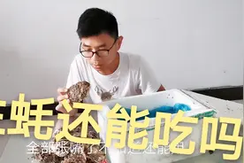 50块钱网购买了20个生蚝，冰袋化了生蚝张口了，闻着有点腥视频封面