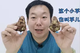 揭开谜底！糖尿病人能不能吃小毛芋头？这个芋儿升糖高不高？视频封面
