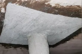 卫生间管口漏水不要慌，防水老师傅给你支招，不砸瓷砖不砸墙视频封面