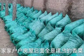 冬季家家户户天然冷库储存香菜一排排就像冻冰棍一样，不怕冻坏吗视频封面