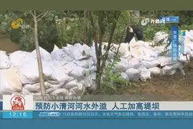 东营稻庄镇村里仍有积水，为预防小清河河水外溢，人工加高堤坝视频封面