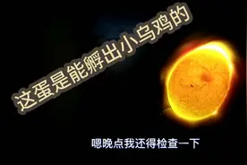 小林养殖：乌鸡蛋孵化48小时开始翻蛋了。看到这情况我放心了视频封面