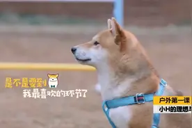 小H的想象很美好，现实却啪啪打脸，跨栏这道坎还得看小O的！