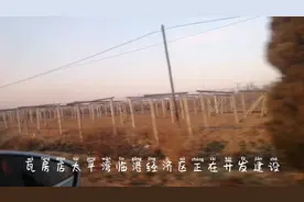 朋友就要动迁啦，瓦房店土城乡盛产葡萄，太平湾经济区正在建设视频封面