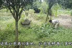 小琴时隔半年在次回到老家，感慨万分，情绪低落