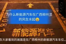 广西柳州遍布大街小巷的宝骏电动小汽车，为什么混的风生水起？视频封面