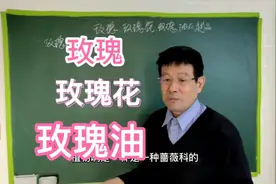 第三十三讲:   玫瑰、玫瑰花、玫瑰油。介绍。