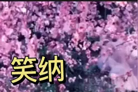 一首好听的唯美音乐《笑纳》撑伞接落花，那人是你吗