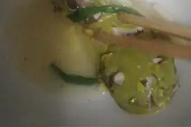 海里没有的鱼🐟