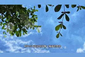 每天一个主题拍摄，轻松掌握手机拍照，“手机轻松拍”28告诉你