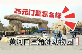25元的门票，黄河口三角洲动物园值得一去