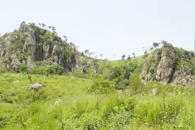 专家打开朱棣四女儿墓，看见里面的情景，赶紧封上墓门后撤离！视频封面