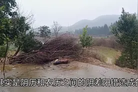 立春节气将至，今年是双春年，立春后天气还会冷吗？答案来了视频封面