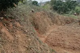 农村总有一些爱贪小便宜侵占别人地的人，你们认为我这样处理对吗