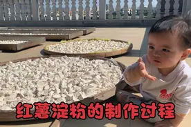 晒红薯粉的季节，叔公家晒了几天几夜，小宝宝一来就忍不住出手视频封面