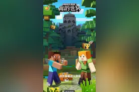 我mc登不上了 怎么办 福利怎么办