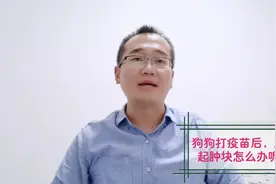 狗狗打疫苗后脖子起肿块了怎么办？宠物医生教你3个小妙招视频封面