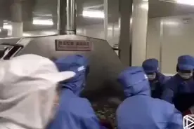 液氮速冻熟鲍鱼肉视频封面