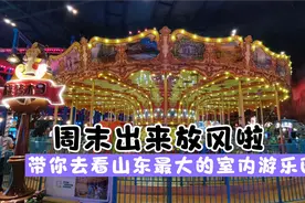 #大美青岛#带你去看山东最大室内游乐园长的啥样，好玩加刺激视频封面