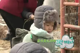 哈尼鼓起勇气抚摸羊宝宝，万岁给羊宝宝起名字叫馋猫