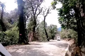 怒江亚坪十八公里，高黎贡山原始森林，原始秘境没有门票