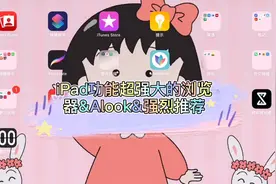 iPad 最好用的浏览器没有之一&Alook&老学姐强烈推荐